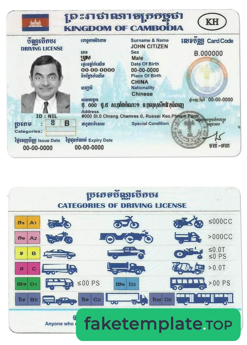 Feature of fake Cambodia driving license example